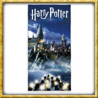 Harry Potter - Velours Handtuch Blau